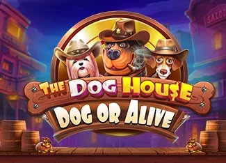 The Dog House - Dog or Alive - HUNIAN138