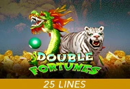 Double Fortunes - HUNIAN138