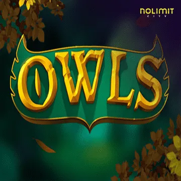 Owls - HUNIAN138