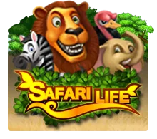 Safari Life - HUNIAN138