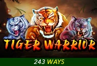 Tiger Warrior - HUNIAN138