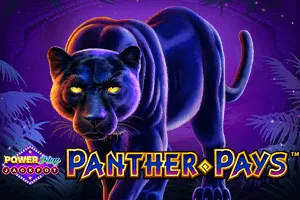 Panther Pays Power Play Jackpot - HUNIAN138