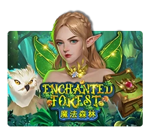 Enchanted Forest - HUNIAN138