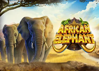 African Elephant - HUNIAN138